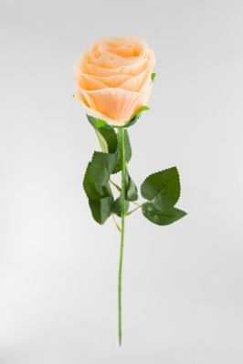 ОО351 Роза одиночная 75 см 100 шт в упаковке 